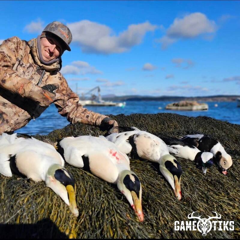 waterfowl harvest by Marsh River Outfitters
