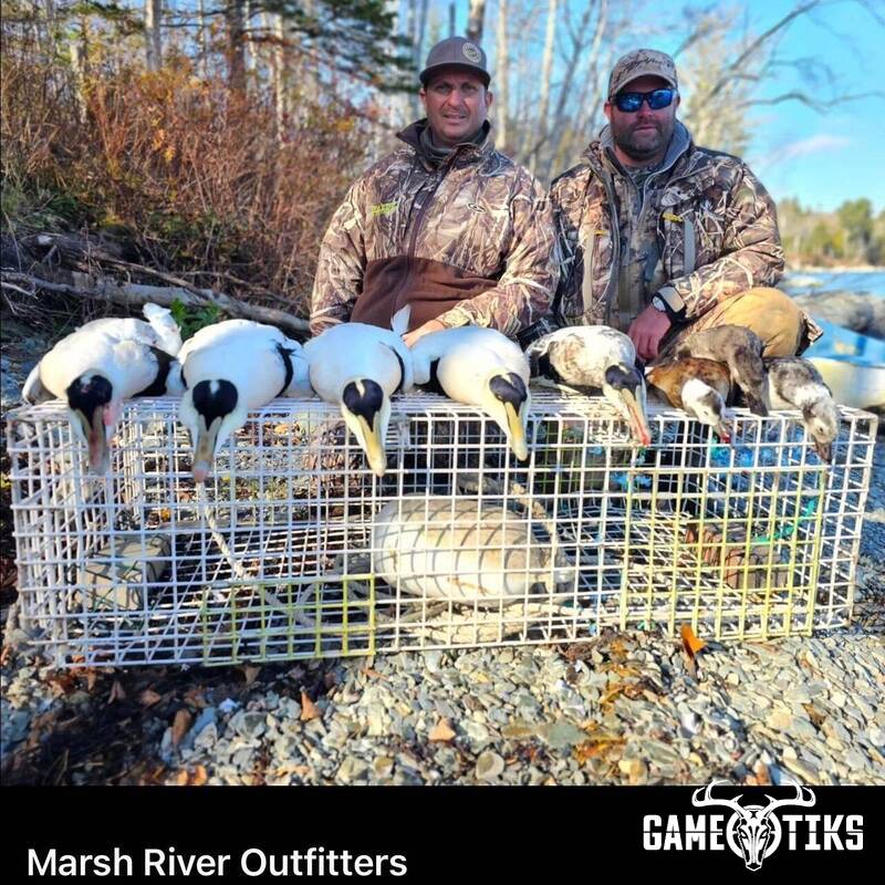 waterfowl harvest by Marsh River Outfitters