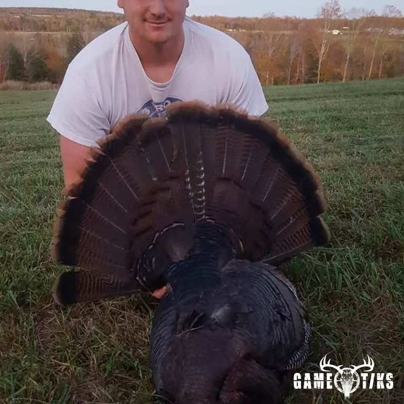 turkey harvest by Brody Gibbs