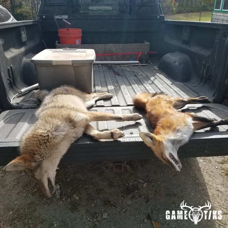 canine harvest by Brian Lunt