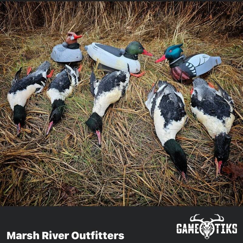 waterfowl harvest by Marsh River Outfitters