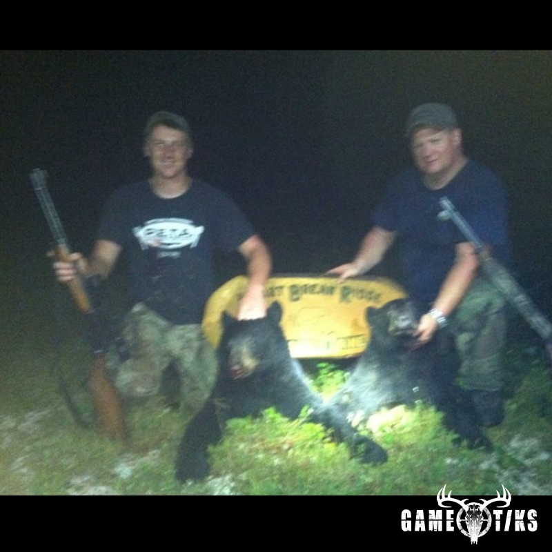 bear harvest by John Gibbs