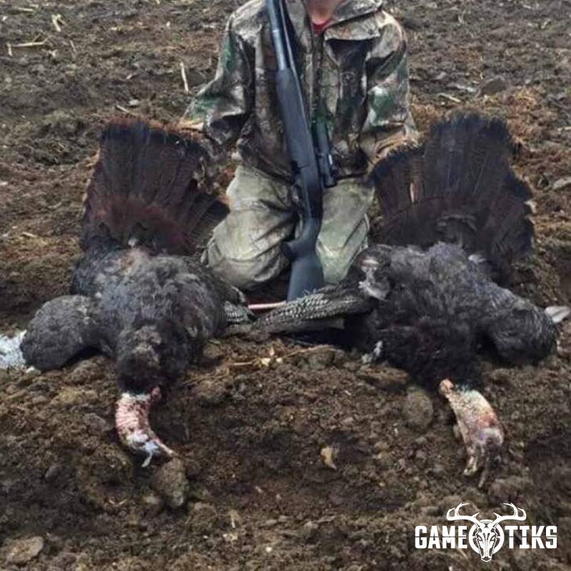 turkey harvest by Matthew Robinson