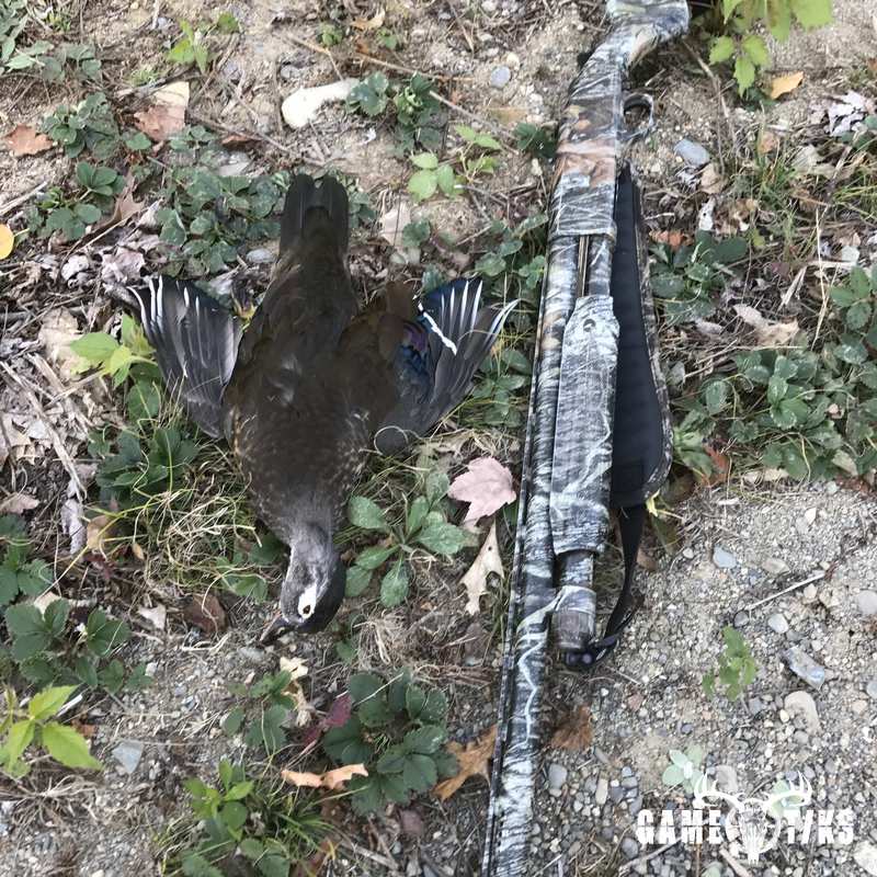waterfowl harvest by Sam Ray
