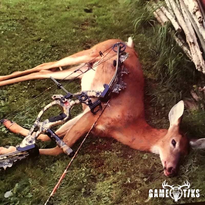 deer harvest by Sam Ray