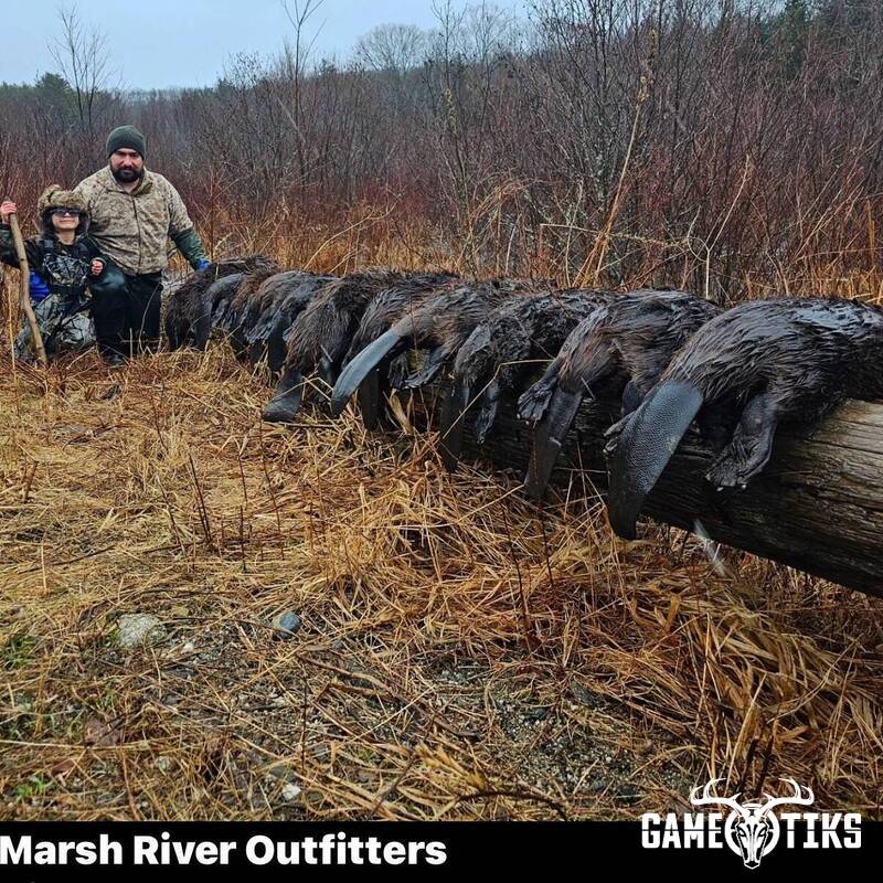 miscellaneous harvest by Marsh River Outfitters