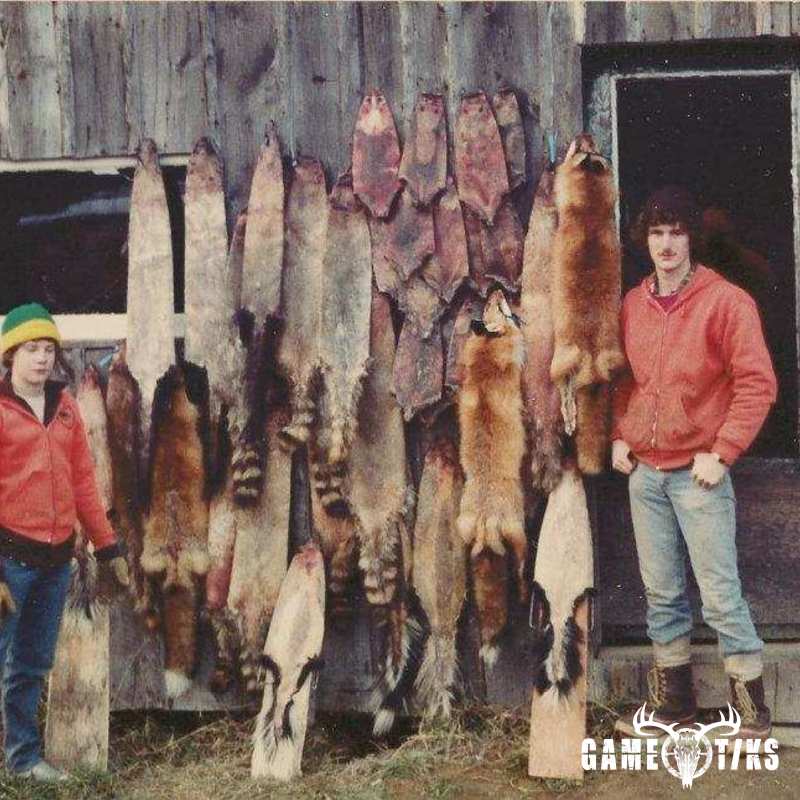 canine harvest by John Gibbs