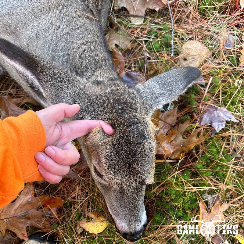 deer harvest by Holly Castle