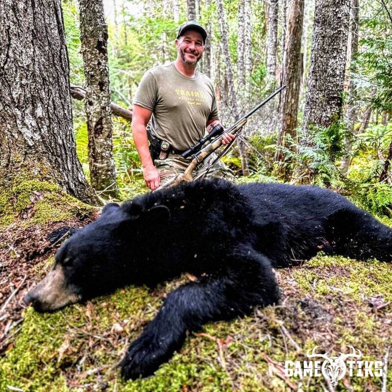 bear harvest by Allen Weaver