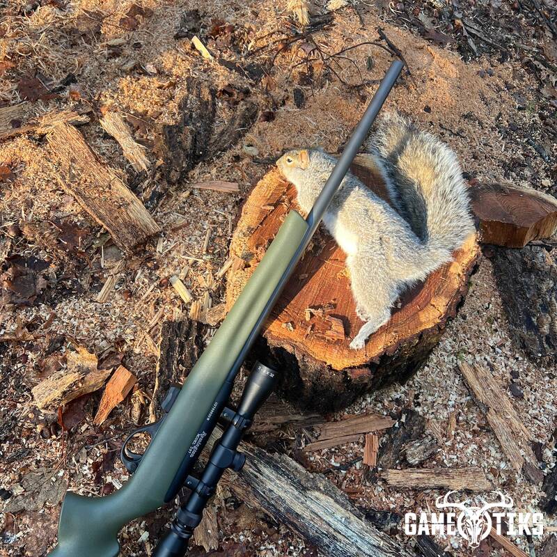 squirrel harvest by John Gibbs