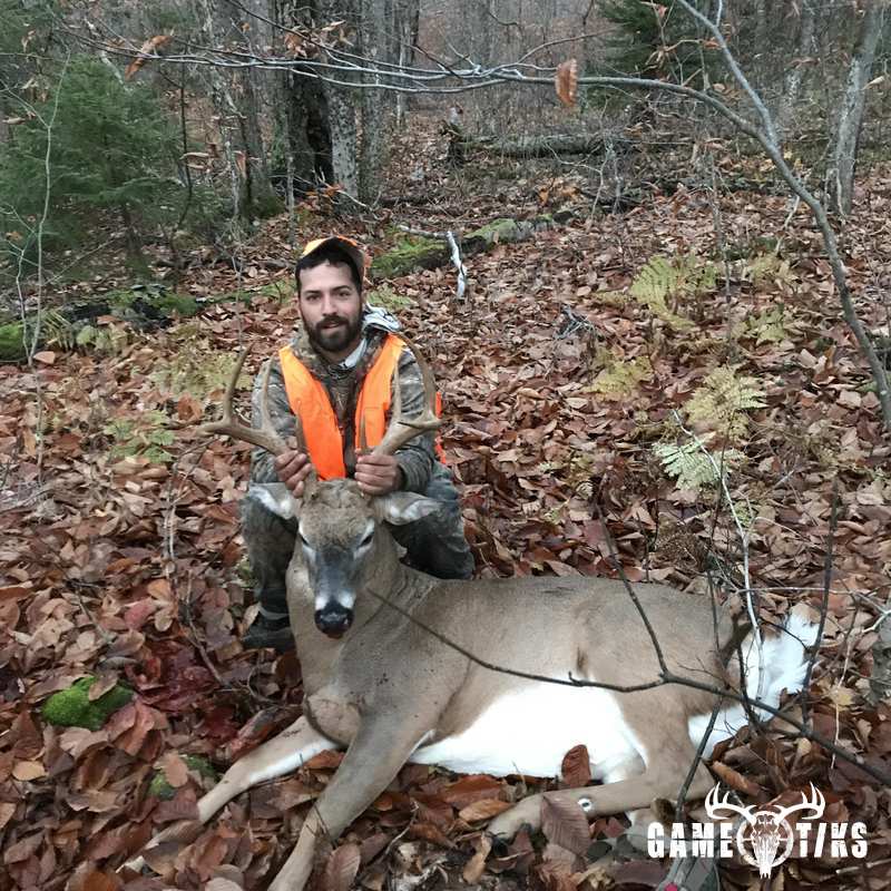 deer harvest by Cam Morrell