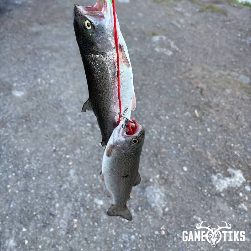 fish harvest by Robert