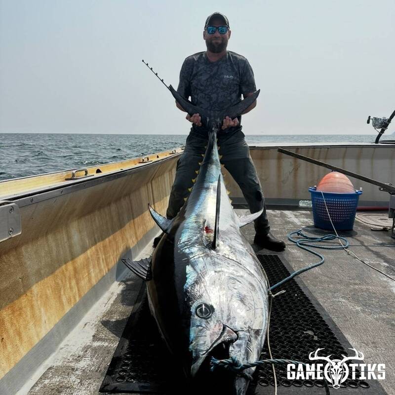 fish harvest by Matt Laite