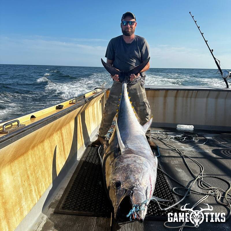 fish harvest by Matt Laite