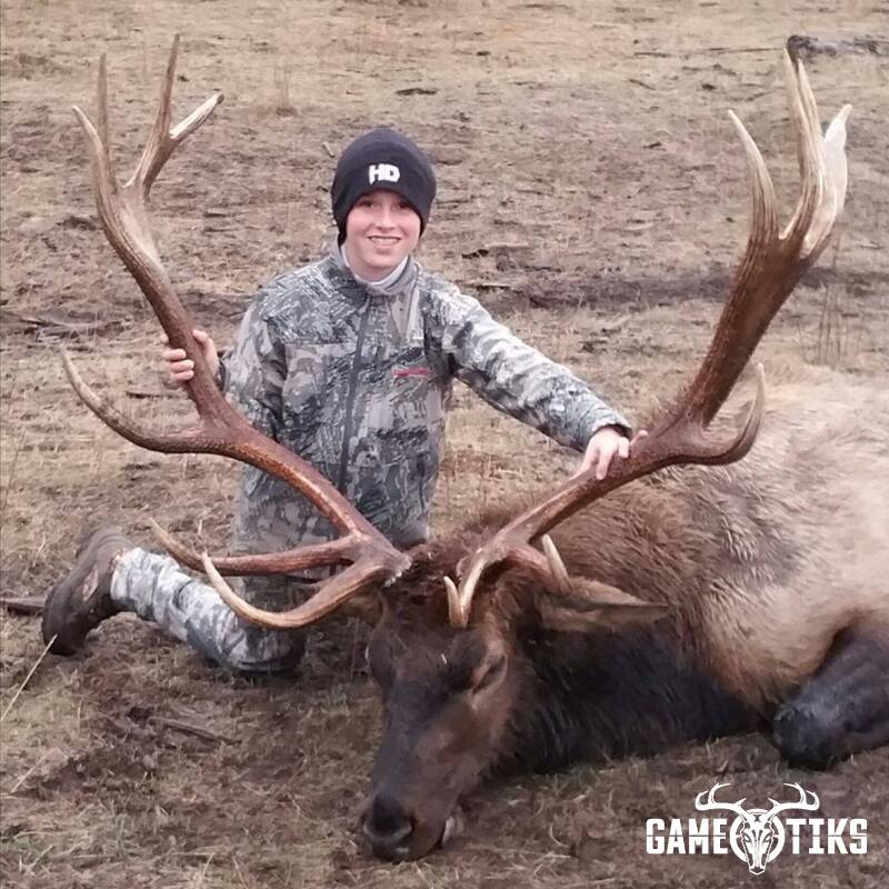 elk