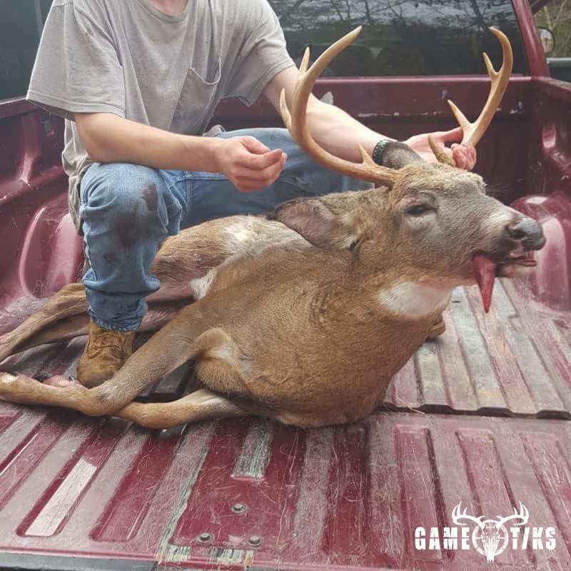 deer harvest by James Pace
