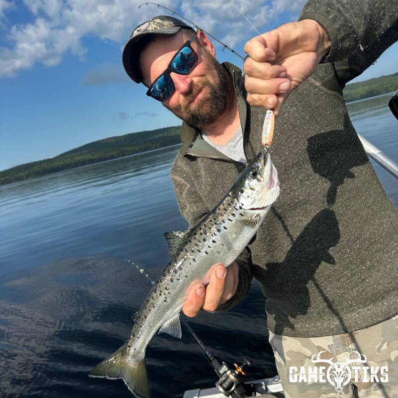 fish harvest by Matt Laite