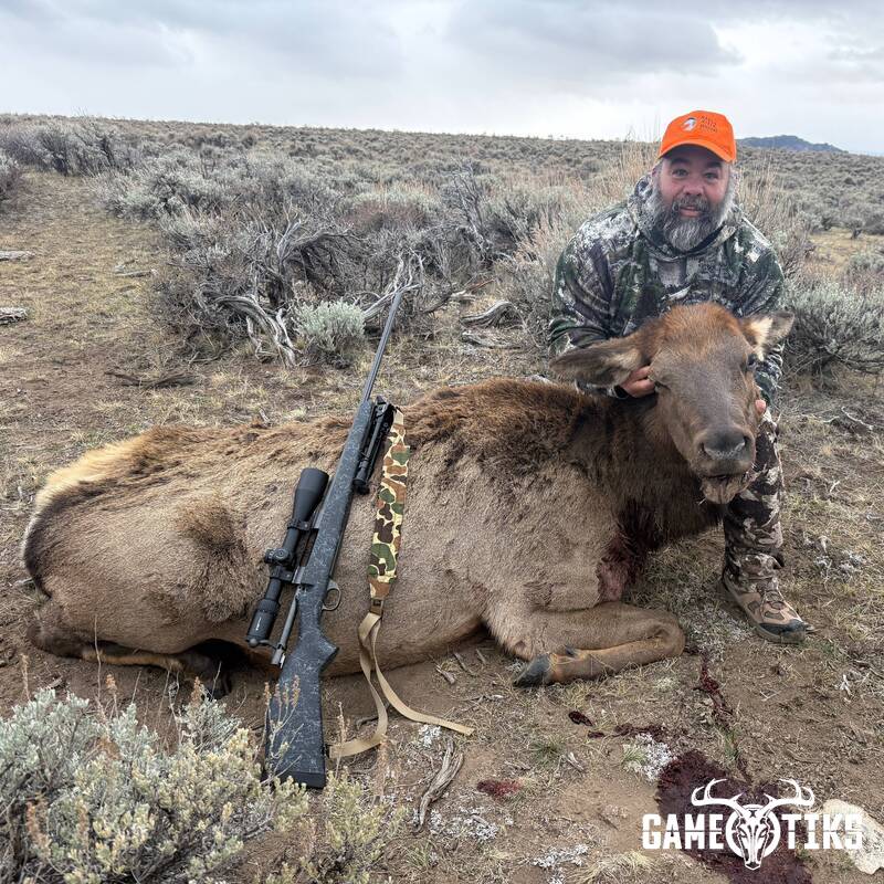 elk harvest by Kris Brill