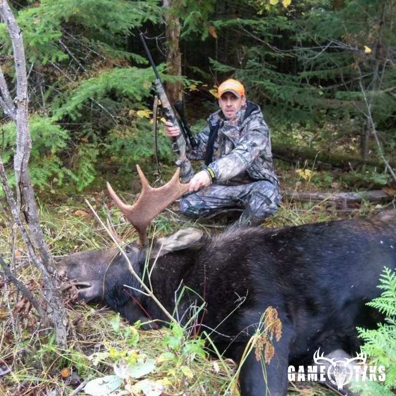 moose harvest by Robb Scott