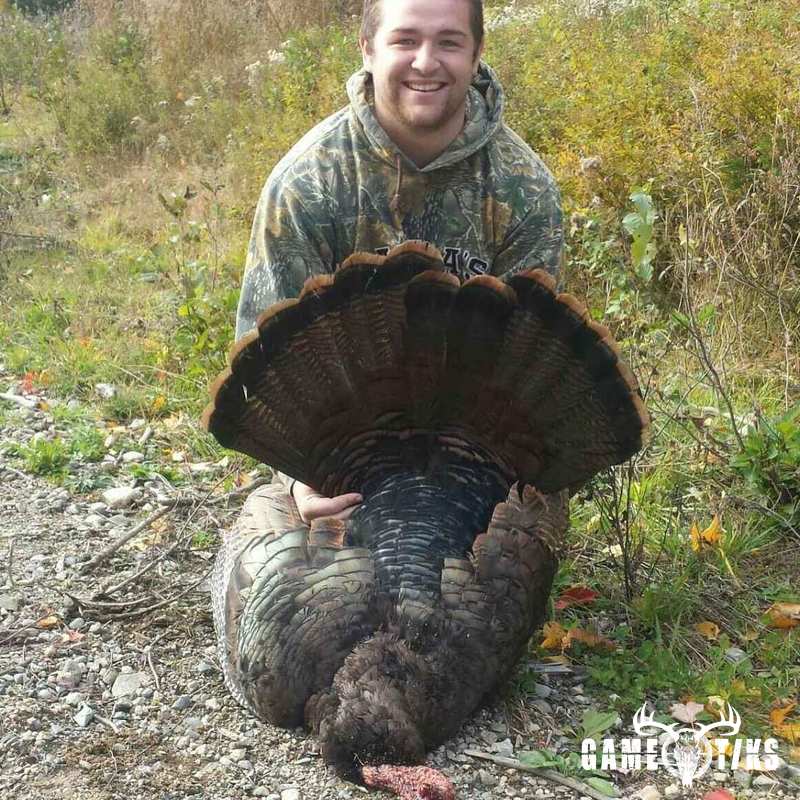 turkey harvest by Michael Grimble