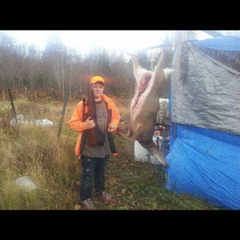 deer harvest by George Wheeler