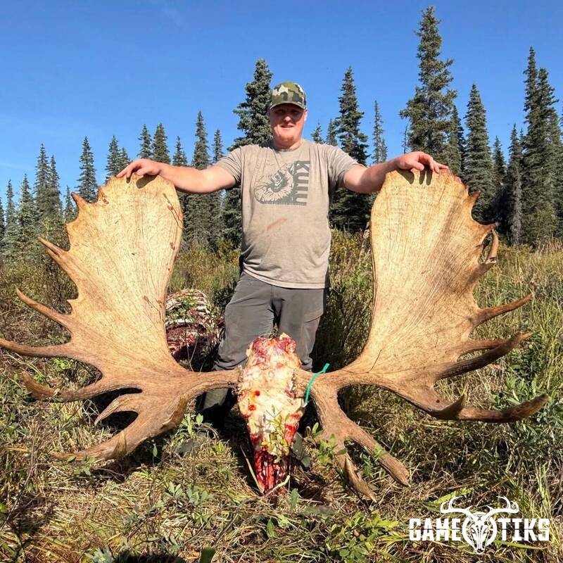 moose harvest by Marsh River Outfitters
