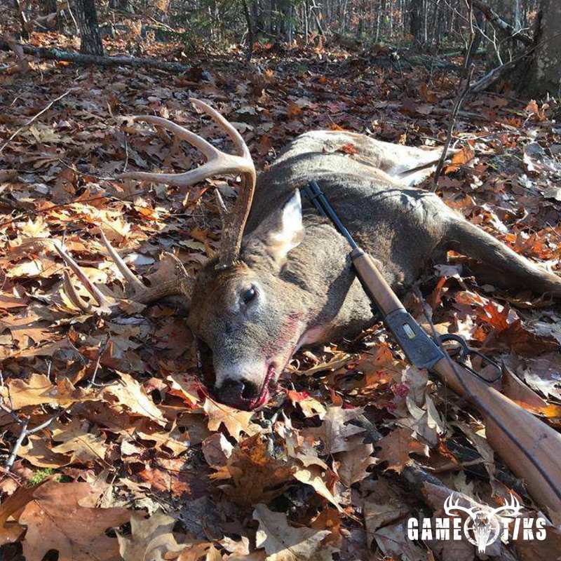 deer harvest by Walt Grzyb
