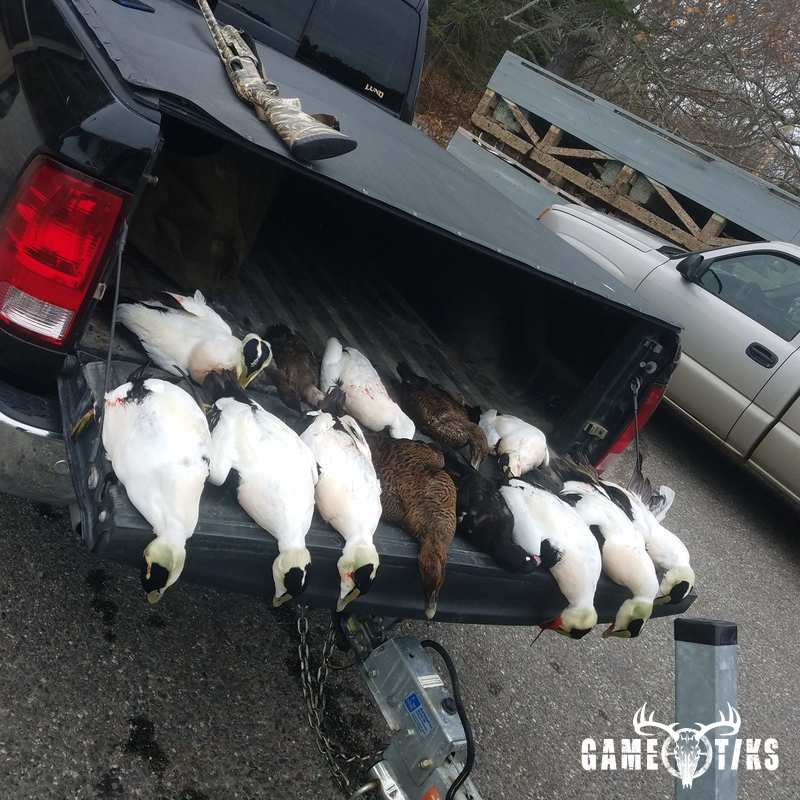 waterfowl harvest by Brody Gibbs