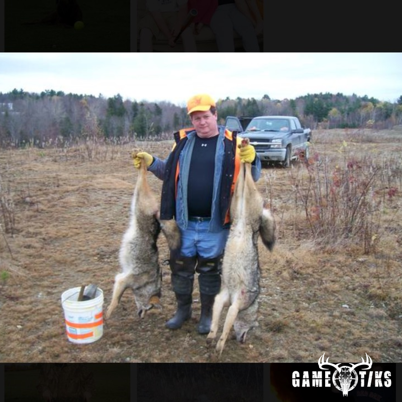 canine harvest by John Gibbs