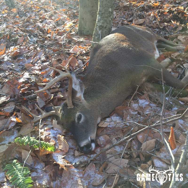 deer harvest by Dustin Howes
