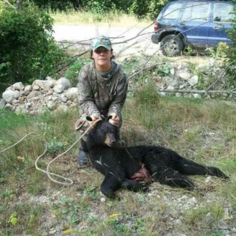 bear harvest by George Wheeler
