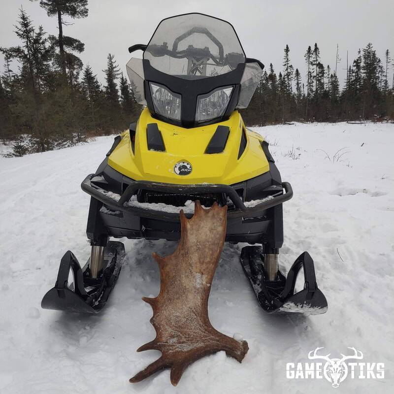 shed_antler