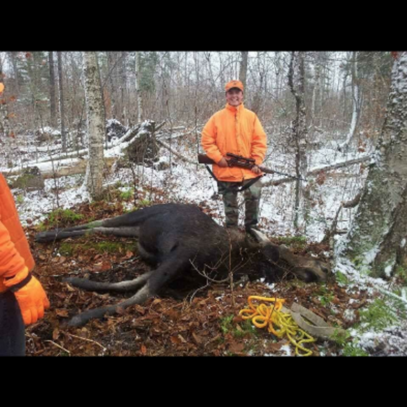 moose harvest by George Wheeler