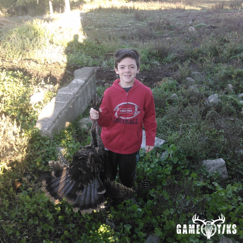 turkey harvest by Noah hurd