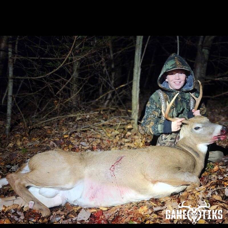 deer