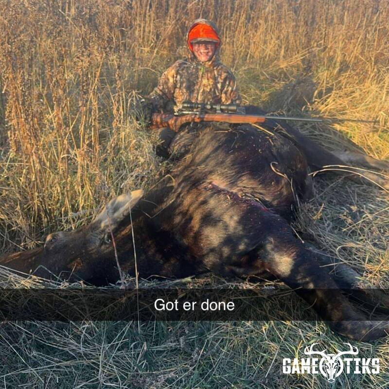 moose