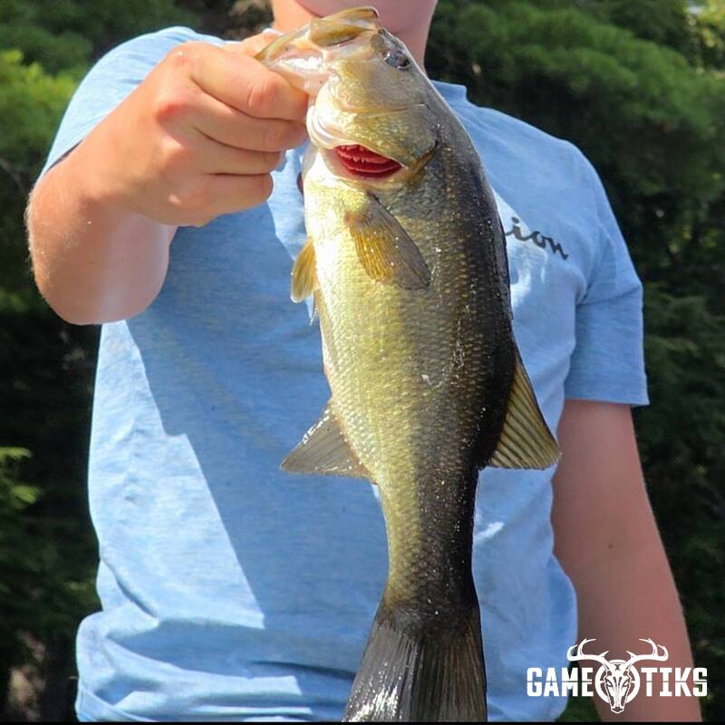 freshwater_fish