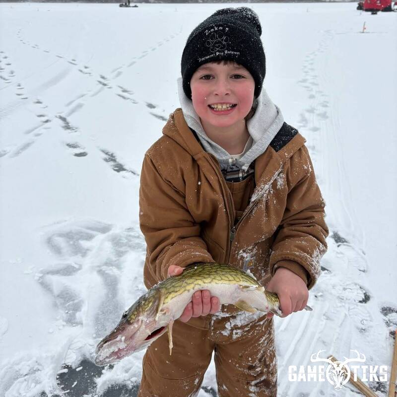 freshwater_fish