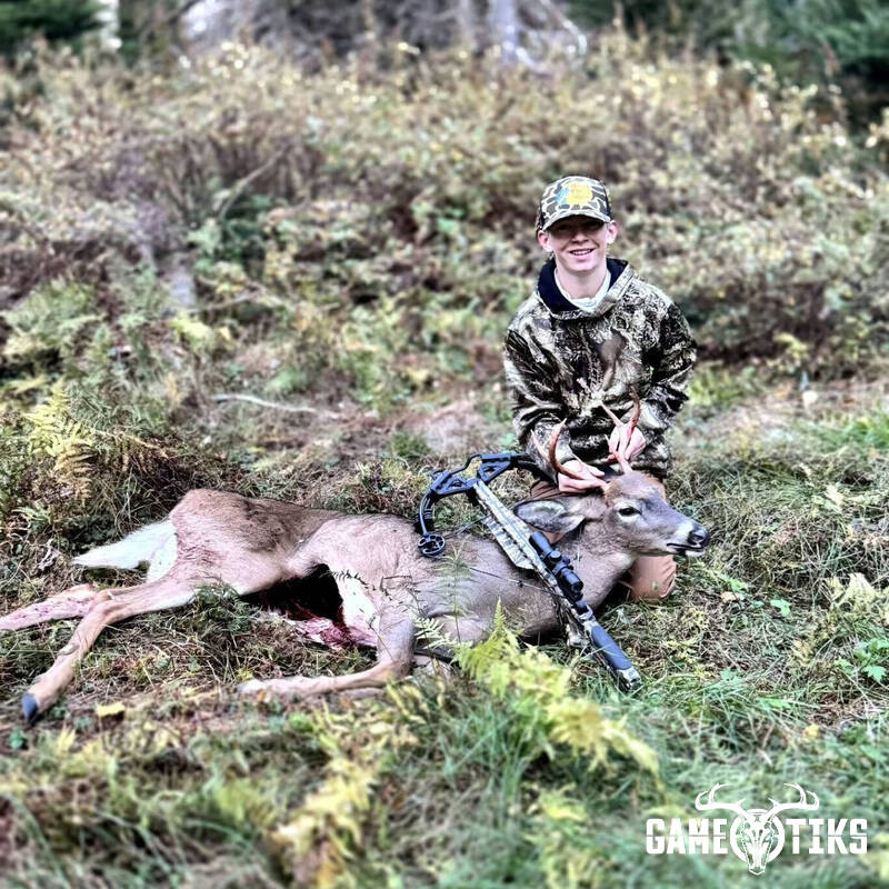 deer