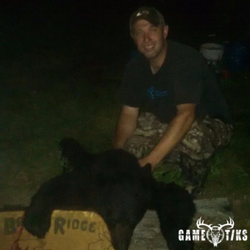 bear harvest by Greg Corey