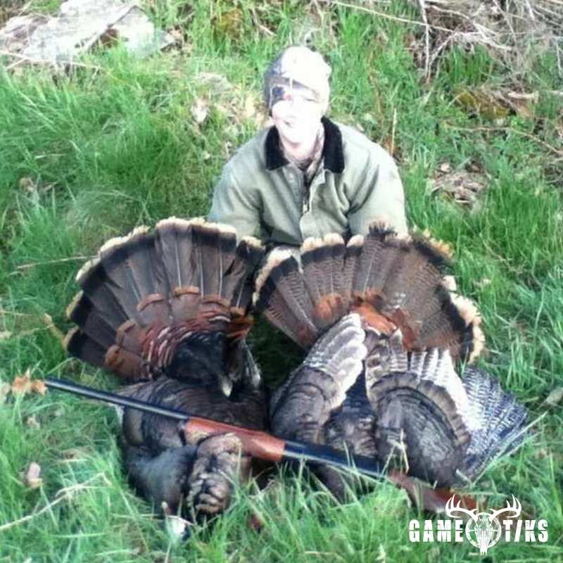 turkey harvest by Avery Leclerc