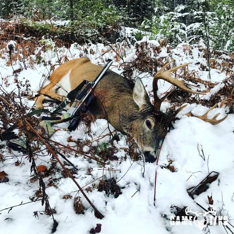 deer harvest by Justin Cook