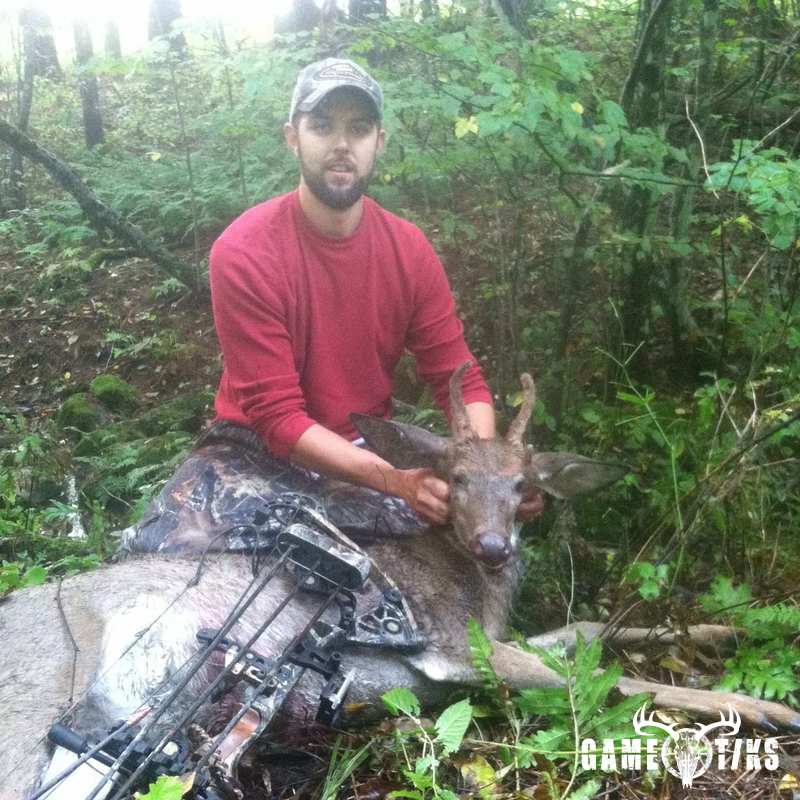 deer harvest by Justin Cook