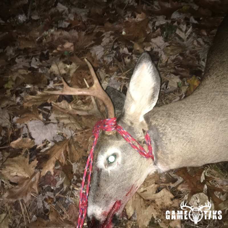 deer harvest by Dan purington