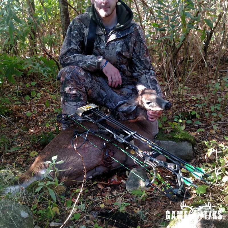 deer harvest by Jonathan Curran