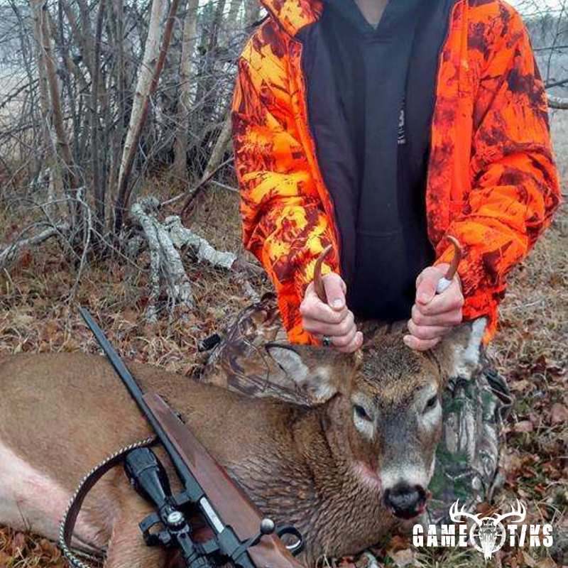 deer harvest by Jonathan Curran