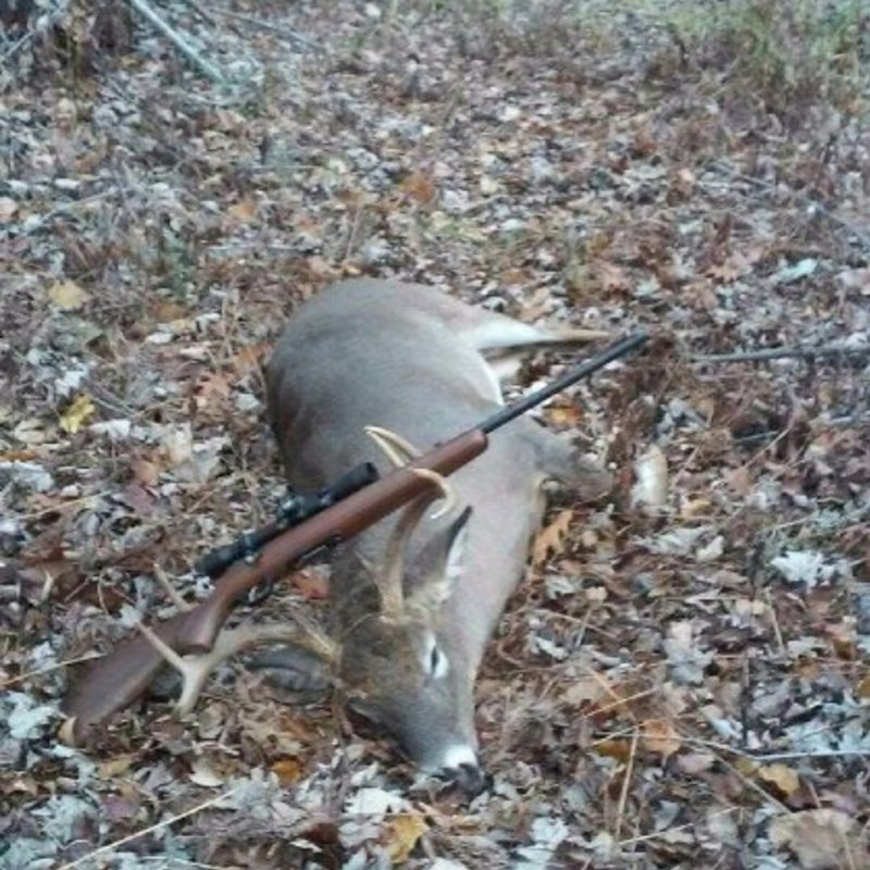 deer harvest by Ethan Lastname