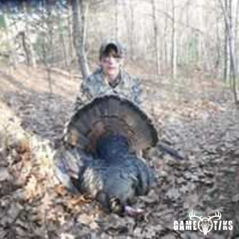 turkey harvest by Jonathan Curran