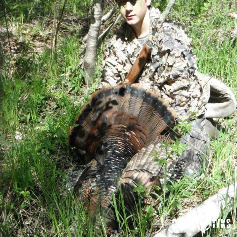 turkey harvest by Jonathan Curran