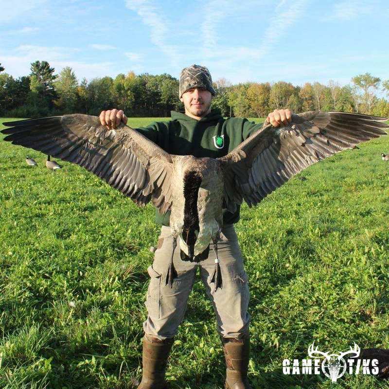 waterfowl harvest by Jonathan Curran